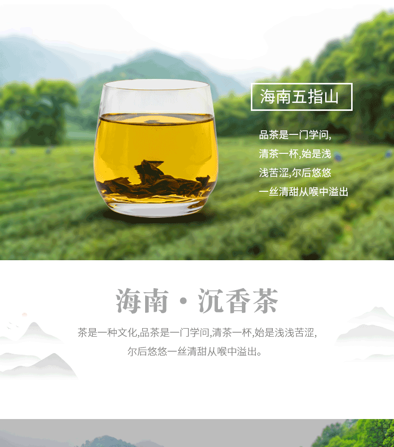 海南省名茶大全图片