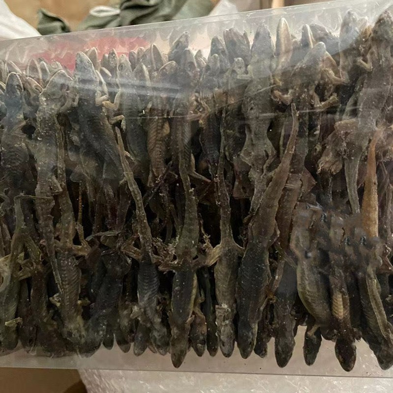 速如康天龙中药材天龙守宫壁虎干精选纯正天然整个干货去内脏守宫新鲜