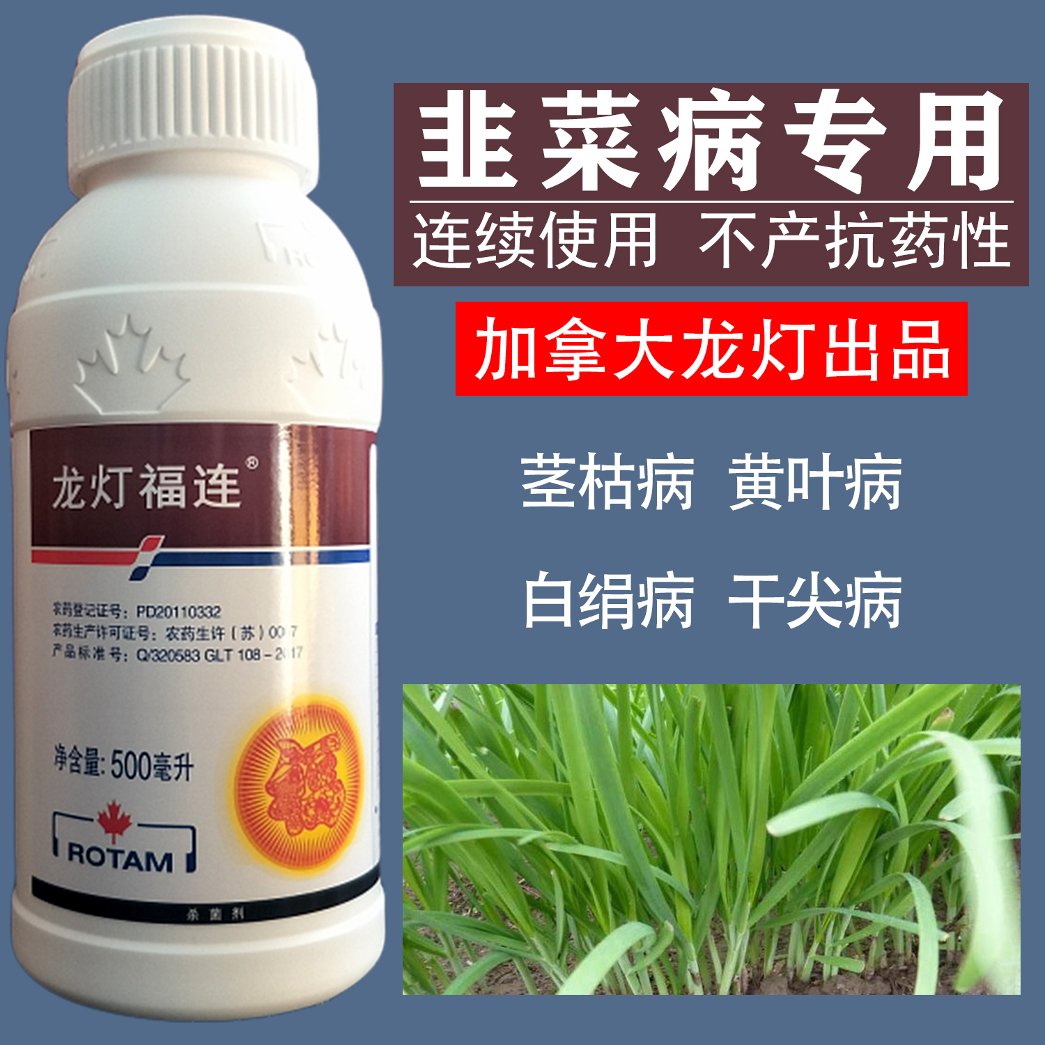 森林 进口龙灯韭菜专用杀菌剂茎枯病黄叶病白绢病干尖病农药hxm8756