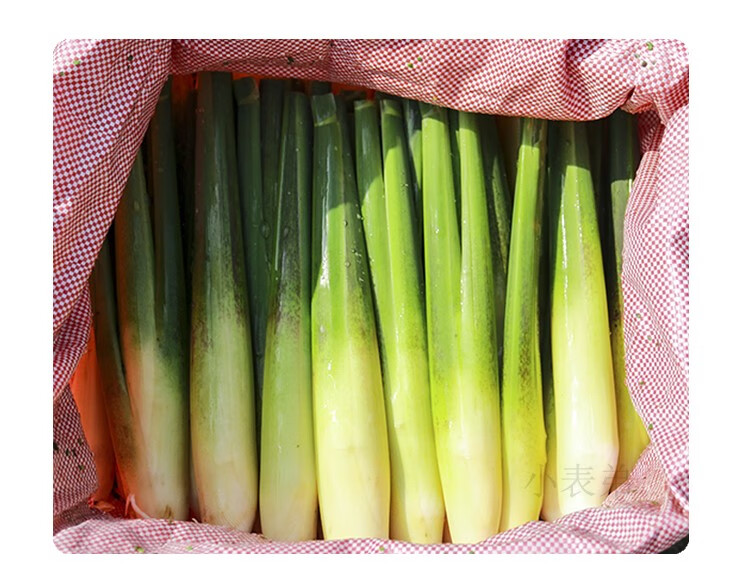 特级新鲜农家高山茭白产妇月子茭笋高瓜水笋时令蔬菜交白新鲜 2500g