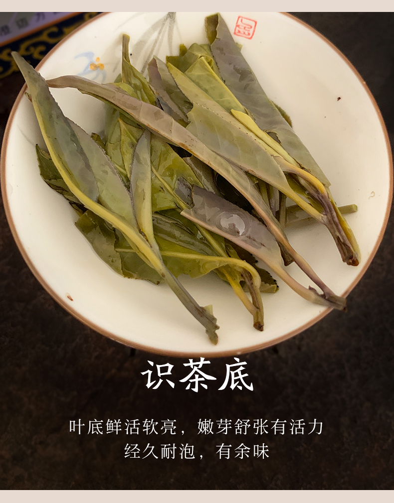 苦丁茶特级椰仙澄迈大叶苦丁花草茶160g罐装海南特产春茶嫩叶新茶茶叶
