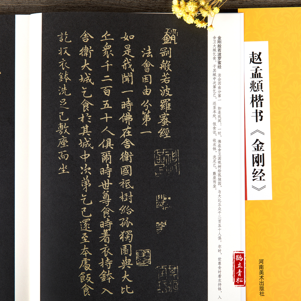 趙孟頫楷書金剛經 中國曆代書法名家名品系列 劉春娟編 河南美術出版