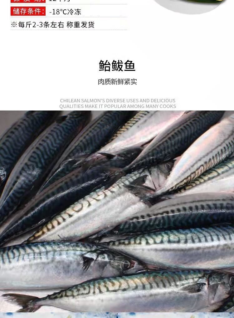 青魚鮁魚青佔魚新鮮鮁魚特大青花魚青條魚深海鮐鮁魚海鮮魚類鮐鮁魚