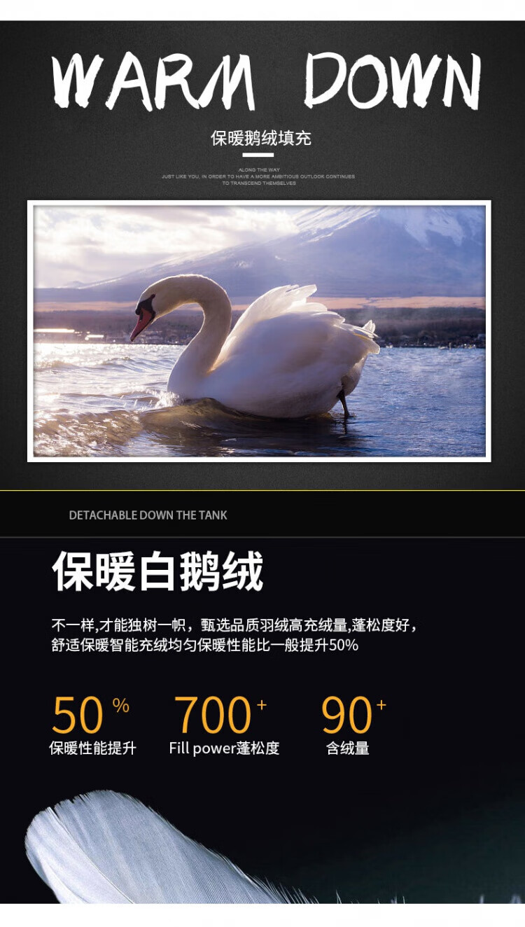 9559905a385e24e4.jpg