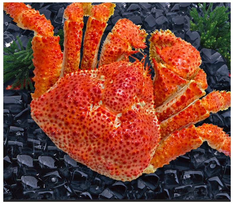 渔鼎鲜 智利雪蟹400g-600g 整只大鳕蟹熟冻鳕蟹【已核酸检测】 400