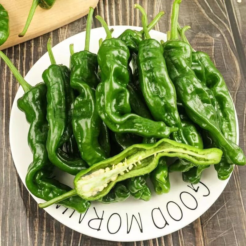 朵蕙阜阳辣椒特辣小皱皮辣椒薄皮辣椒青辣椒农家自种当天现摘现发