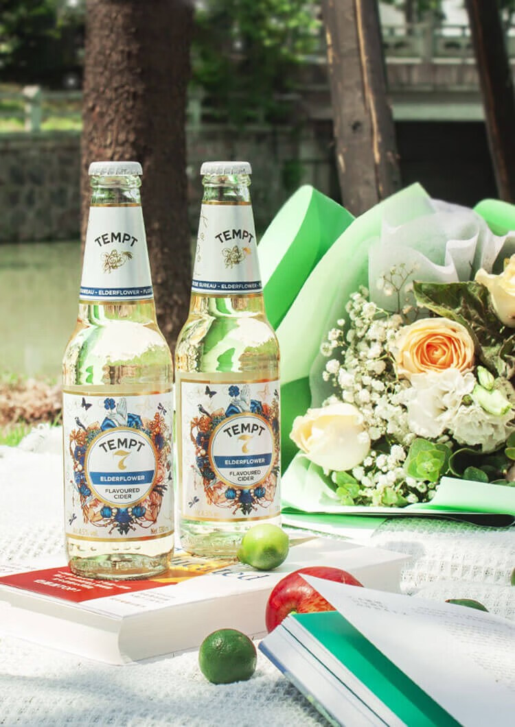 丹麦进口tempt诱惑七号接骨木1号3号8号9号果味精酿啤酒24瓶整箱 24瓶