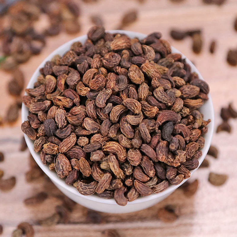 伟博女贞子500g中药材可配墨旱莲煲汤泡茶女贞实冬青子鼠梓子 女贞子