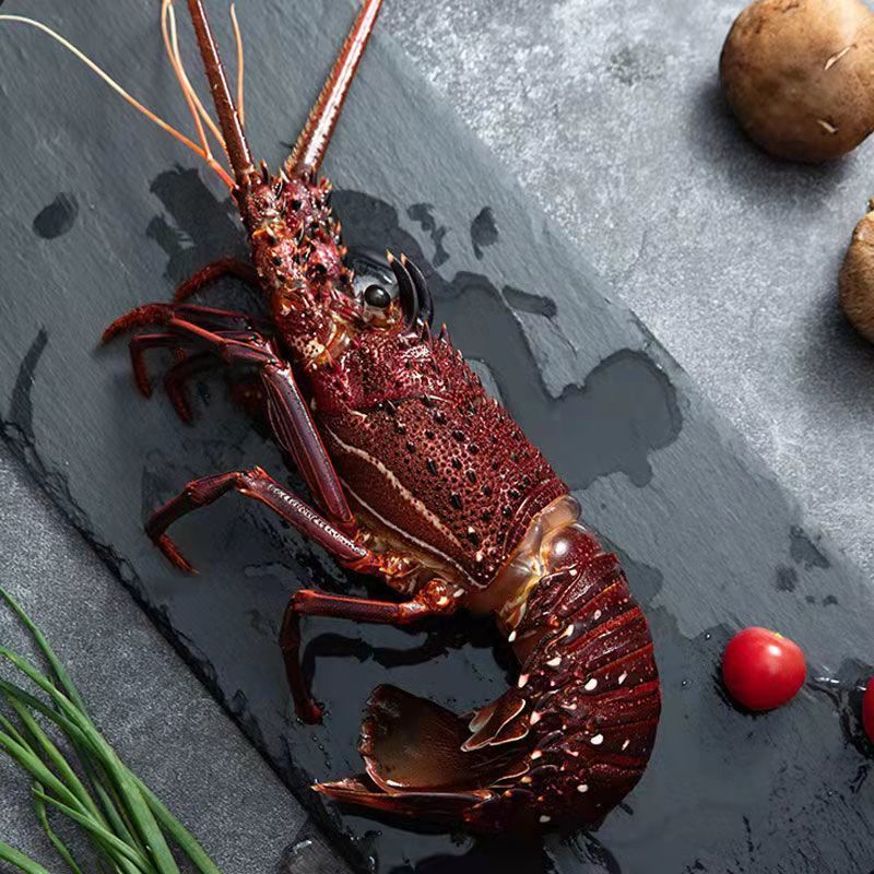 顺丰空运红龙虾澳洲龙虾鲜活冷冻锦绣大龙虾海捕花龙虾海鲜青龙虾大