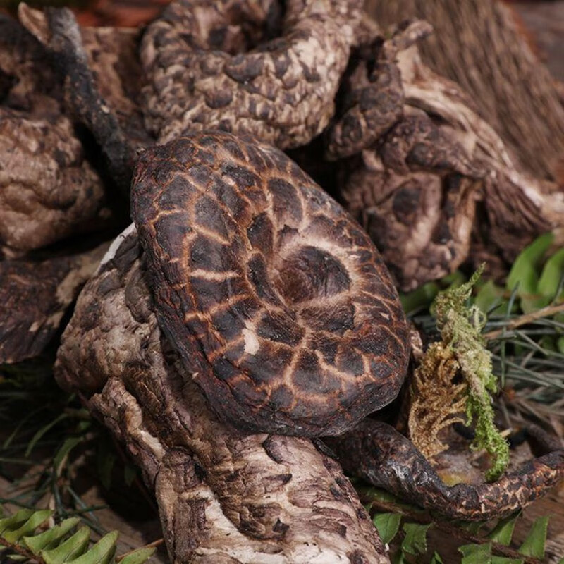 潽禧草堂 中药材 虎掌菌 别名:獐子菌 老鹰菌 黑虎掌 500克