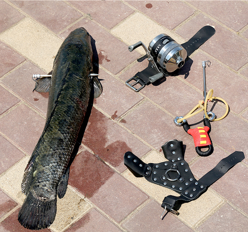 鱼镖射鱼镖套装弹弓打鱼鱼枪弹弓射鱼射鱼器套装打鱼弹弓鱼鳔 豪华