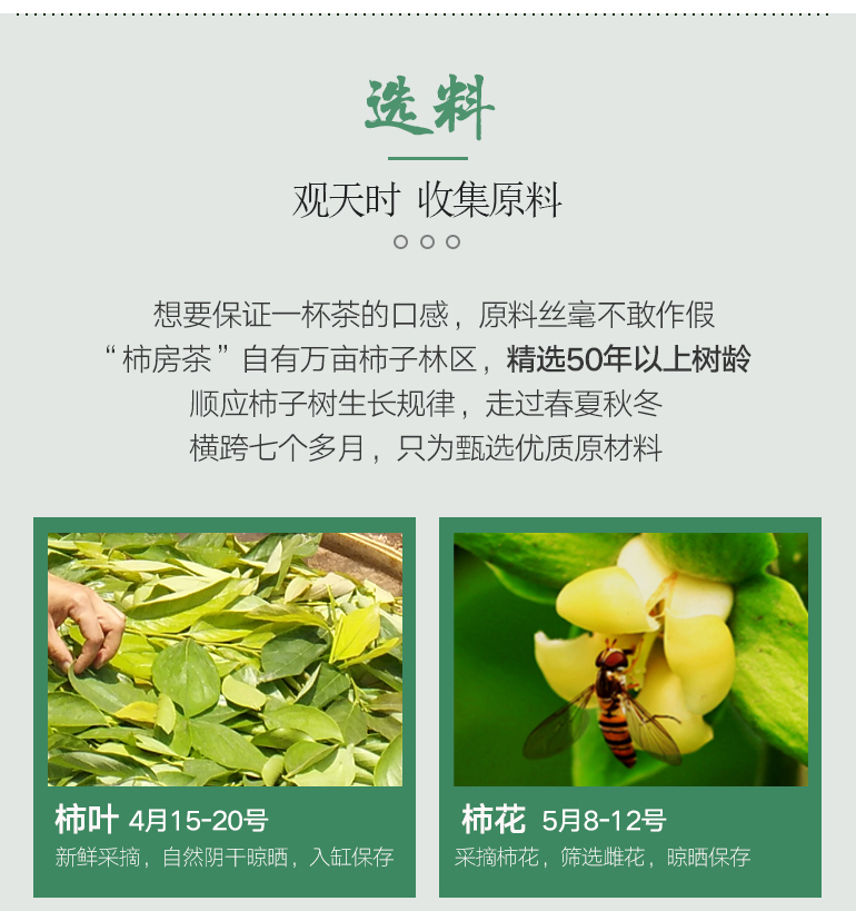 富平馆 柿房茶柿子果茶30年古树精制0g柿子茶礼盒装袋泡茶果茶 图片价格品牌报价 京东