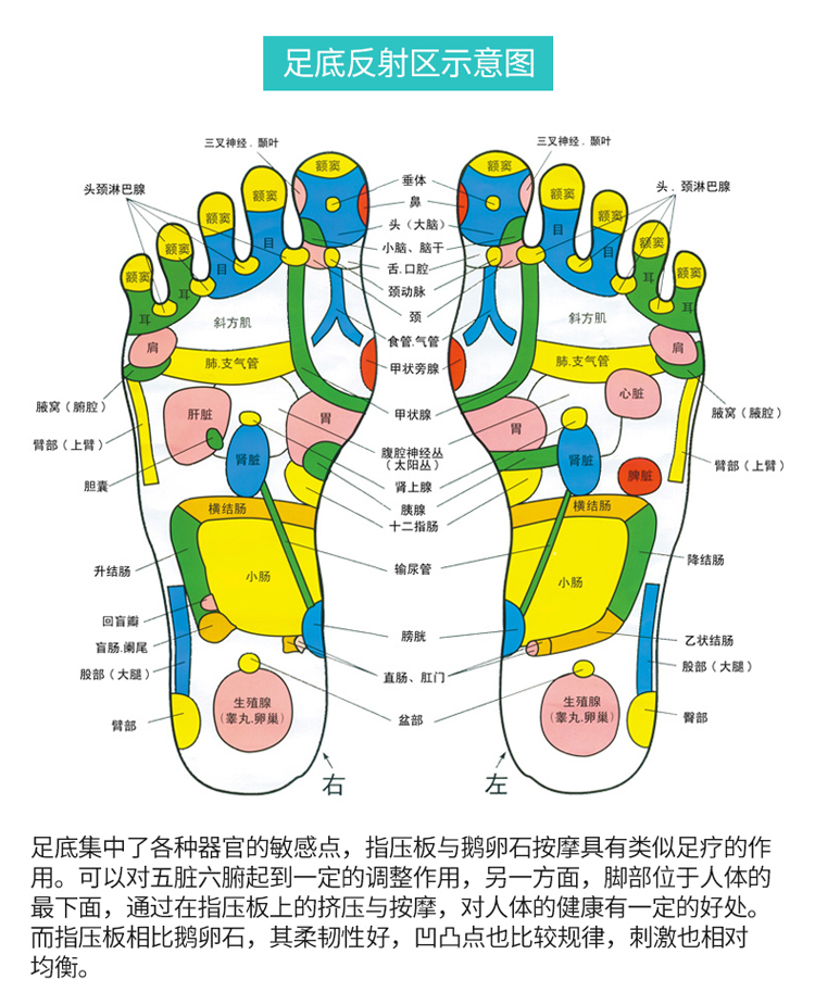 足底按摩趾压板脚底按摩垫  商品介绍 商品参数 商品名称 沪香庭