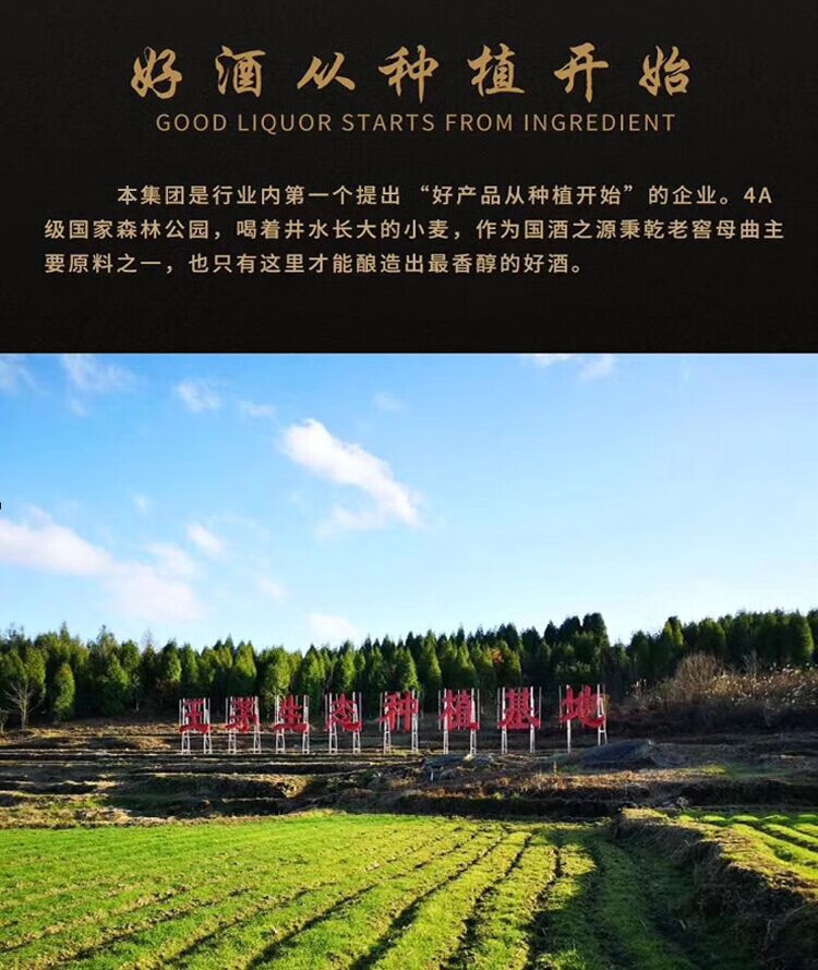 贵州茅台镇秉乾老窖1915金奖原味53度酱香型白酒500ml瓶贵宾装2瓶