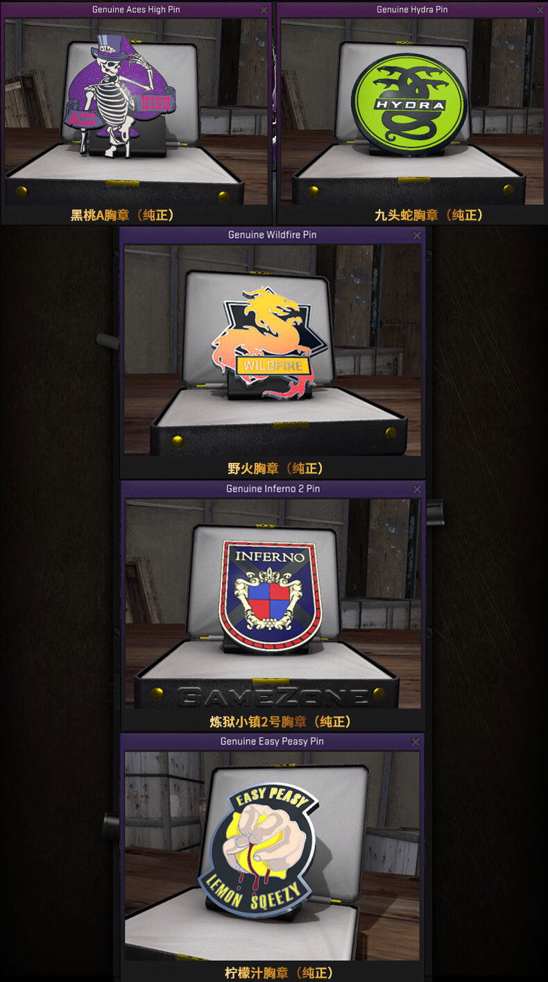 csgo胸章局内效果图片