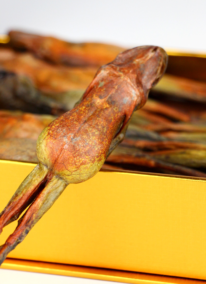 雪蛤旗舰店长白山雪蛤整只干雪哈礼盒东北雪蛙油林蛙干100g【图片