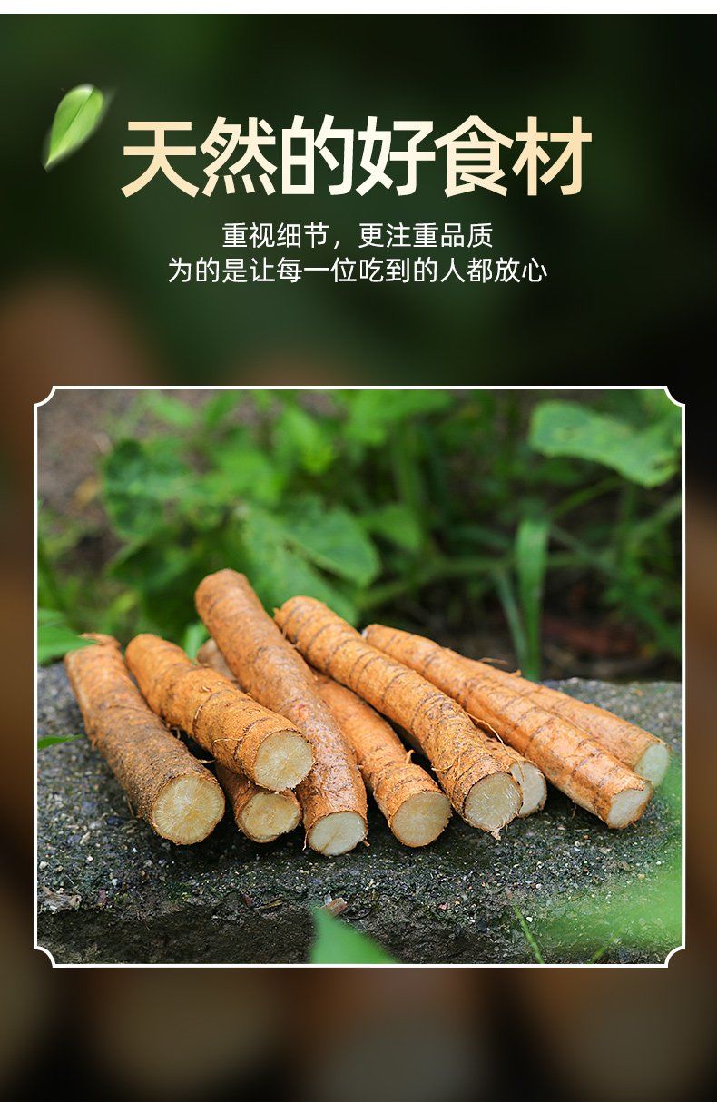 伟博牛大力牛大力野生新鲜00g金钟根山莲藕猪脚笠广东煲汤料3斤牛大力