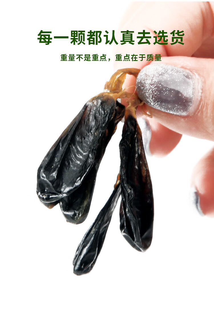 蛇胆干 10粒装 蛇胆武夷山蛇胆干蛇胆胆8年蛇龄【图片 价格 品牌 报价