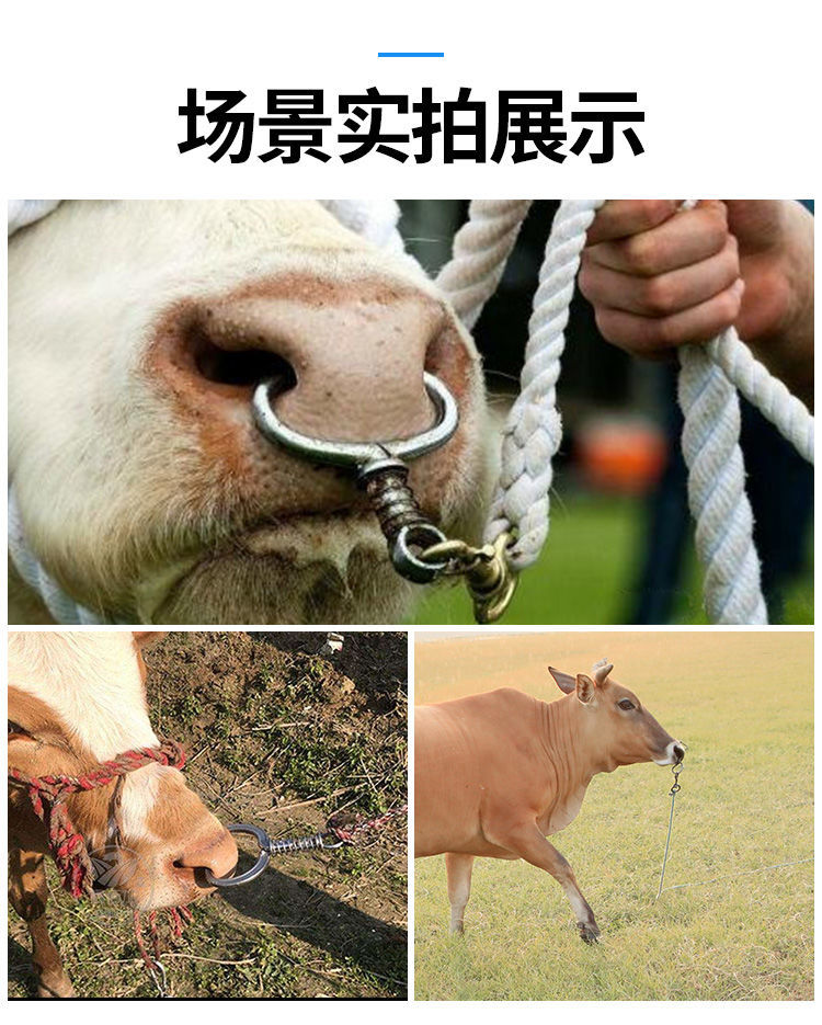 家恒宝牛鼻环牛鼻圈牛鼻栓牵引器免打孔自动弹簧大号养殖牛工具拴牛