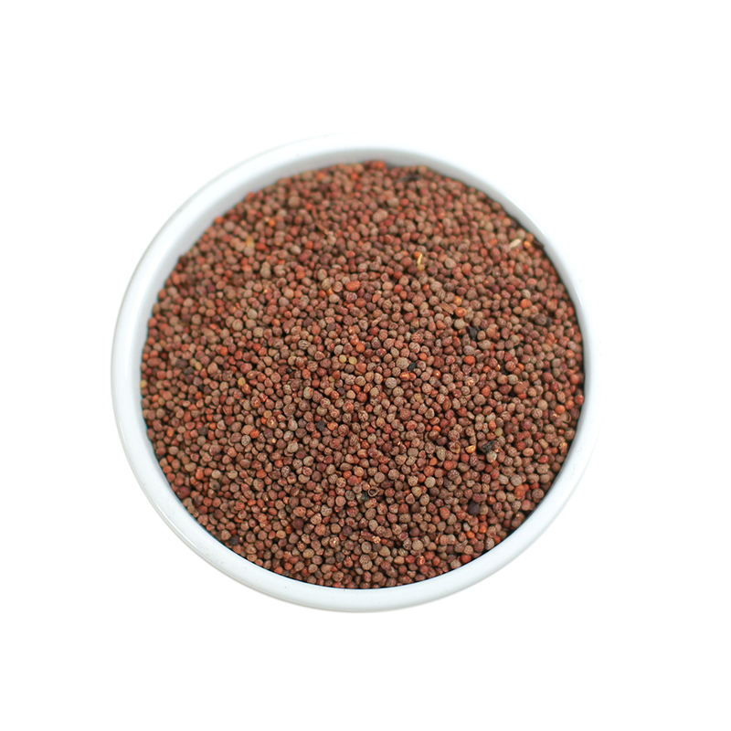 北京同仁堂炒苏子中药材炒熟紫苏子籽熟苏籽苏子粒食用散装500g可磨紫