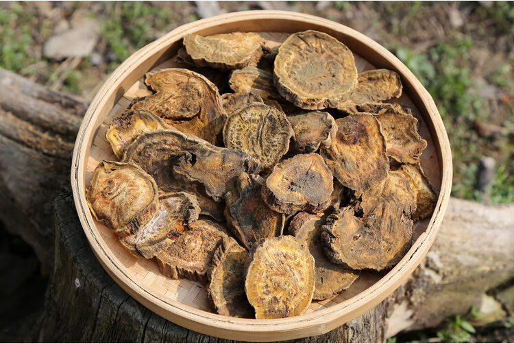 【官方旗舰】生大黄中药材 500g店铺可大粉马蹄大黄熟大黄中草药大全