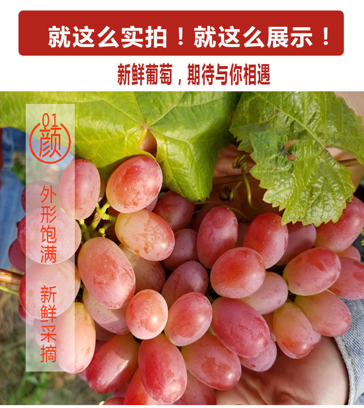新疆马奶红提无籽葡萄爆甜克伦生葡萄新鲜水果提子6斤