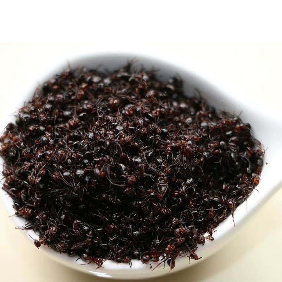 【官方旗舰】正宗红蚂蚁长白山红蚂蚁干货蚂蚁中药材泡酒红蚂蚁干 红