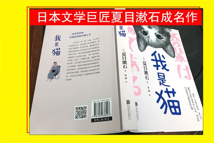 我是猫 夏目漱石 以猫眼看世界猫作为我是叙事者猫所见所闻故事故事的叙事者猫的所见所闻 我是猫详情图片4