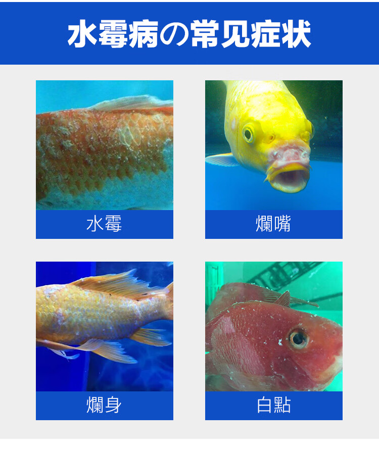 水黴病專治白點淨魚藥魚白點病藥魚爛尾爛鰓 水黴淨 藥 硝化500ml