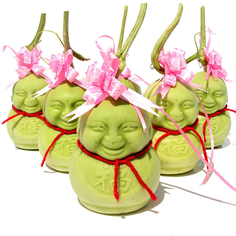 钦辰奕【速发】人参果水果人形福娃甜瓜制作娃娃贡果礼品非云南礼品果