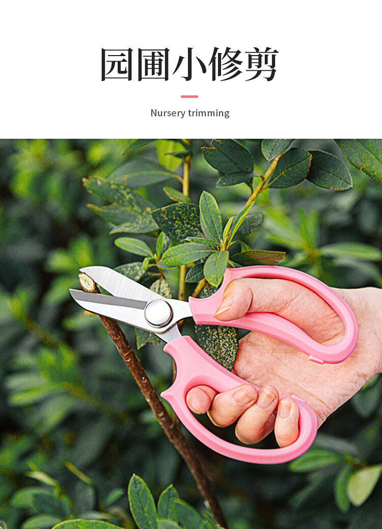 园艺修花剪花艺剪刀宽头家用摘花椒神器剪树枝专用工具插花的剪子花艺