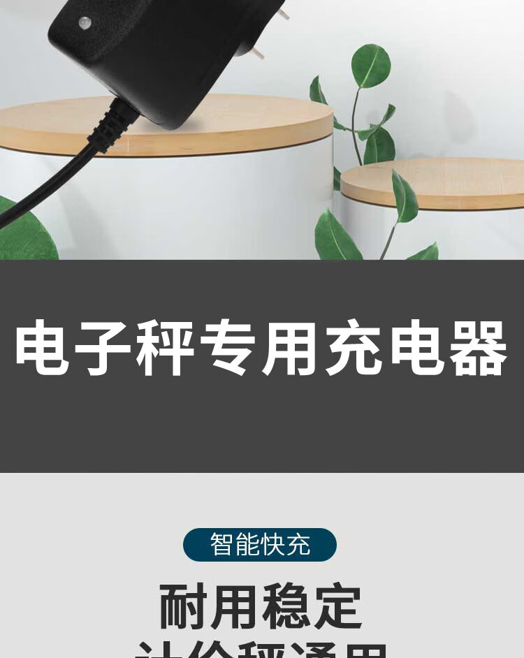 电子秤充电器圆孔6v通用型台秤电子称充电线圆头冲电器配件 6v加强