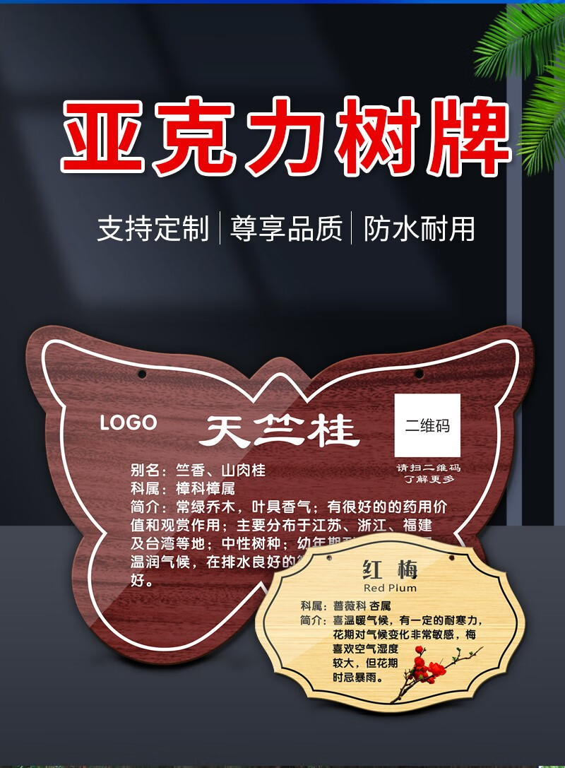 亚克力树牌树木名称介绍植树节树牌植物挂牌认养标识提示牌学校公园