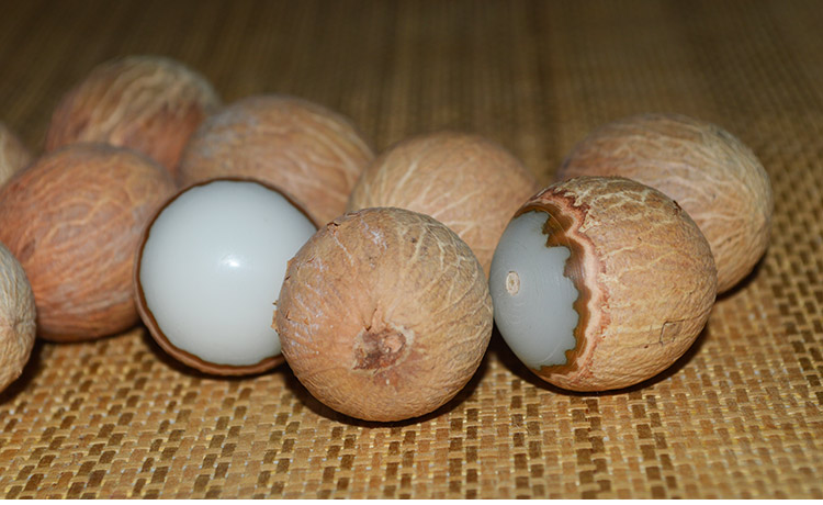 菩提根原籽原料白玉菩提子手链手串大小散珠风化果108颗按斤戒指 高密