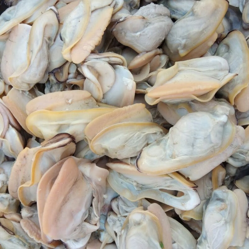 赛卡伊河蚌肉新鲜淡水大河蚌肉海巴子肉去壳净肉生鲜品1kg