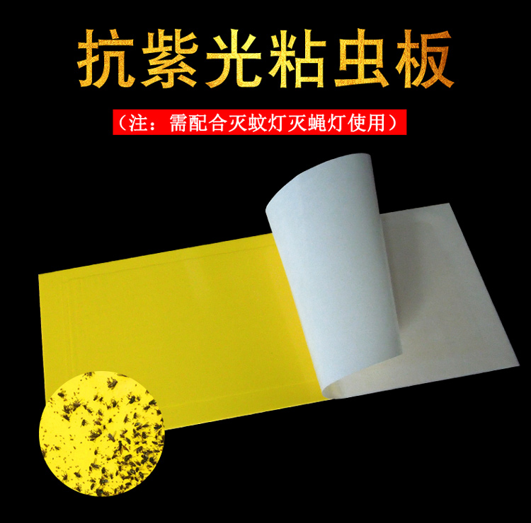 绿博粘捕式灭蝇灯粘蝇纸粘蝇板灭蚊纸黄色粘虫板10张3313cm弧形