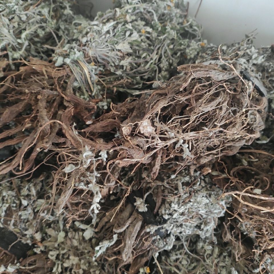 翻白草幹品 整顆帶根中藥材翻白草 100克試用【圖片 價格 品牌 報價】