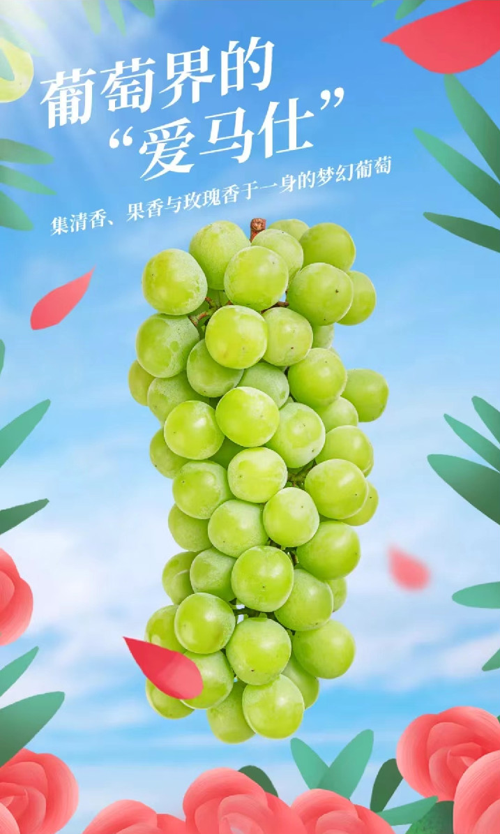 阳光玫瑰晴王葡萄日本引进品种云南阳光玫瑰礼盒包装jd顺丰520端午节