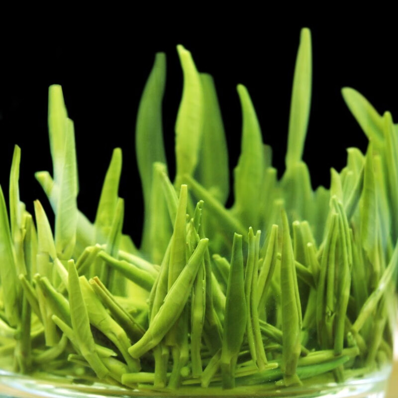 贵芯茶叶半斤装2022年新茶绿茶250g清香明前雀舌精选小芽绿茶竹叶茶