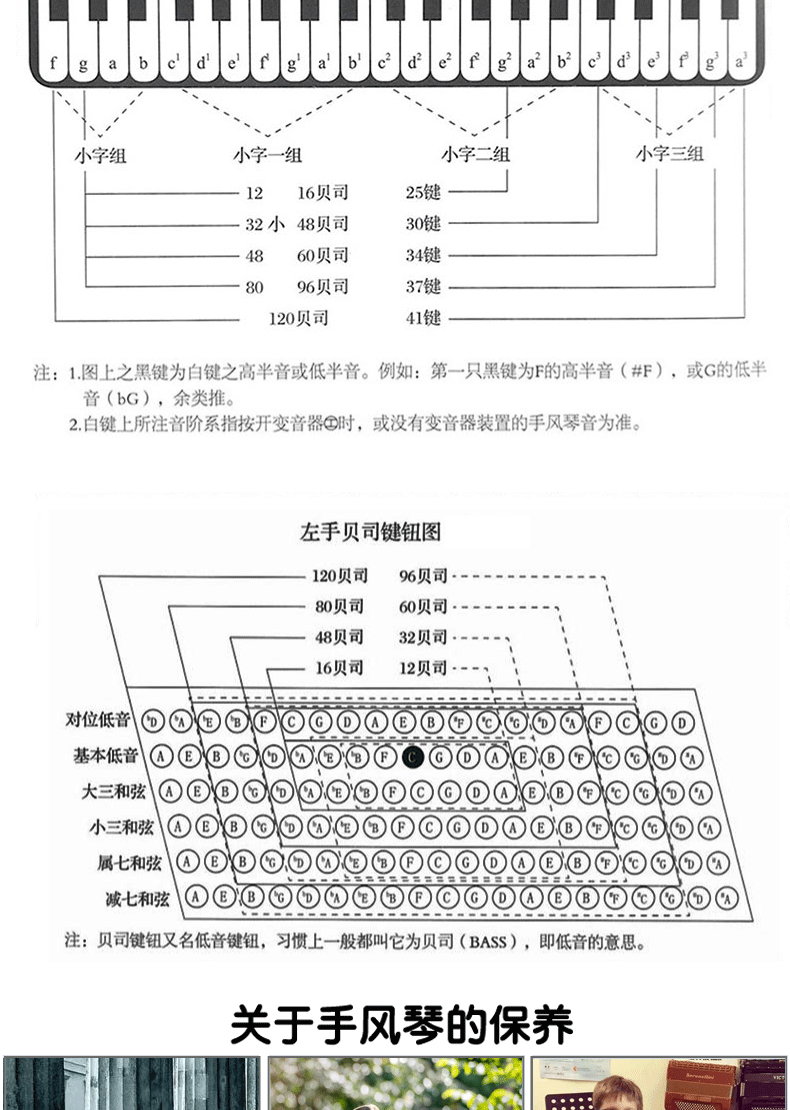 meister德国进口音簧60b 72b手风琴键盘手风琴儿童演奏定制款 60贝司