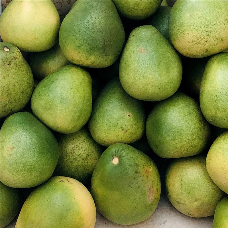 正宗安福柚子江西特产萍乡蚕子井冈山蜜柚当季新鲜水果横龙吉安正宗