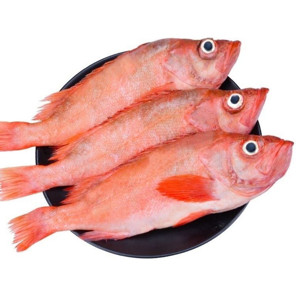 富贵鱼新鲜冷冻大眼鱼深海海鲜水产鲜活红鱼乌蒙蕴色5斤特惠装