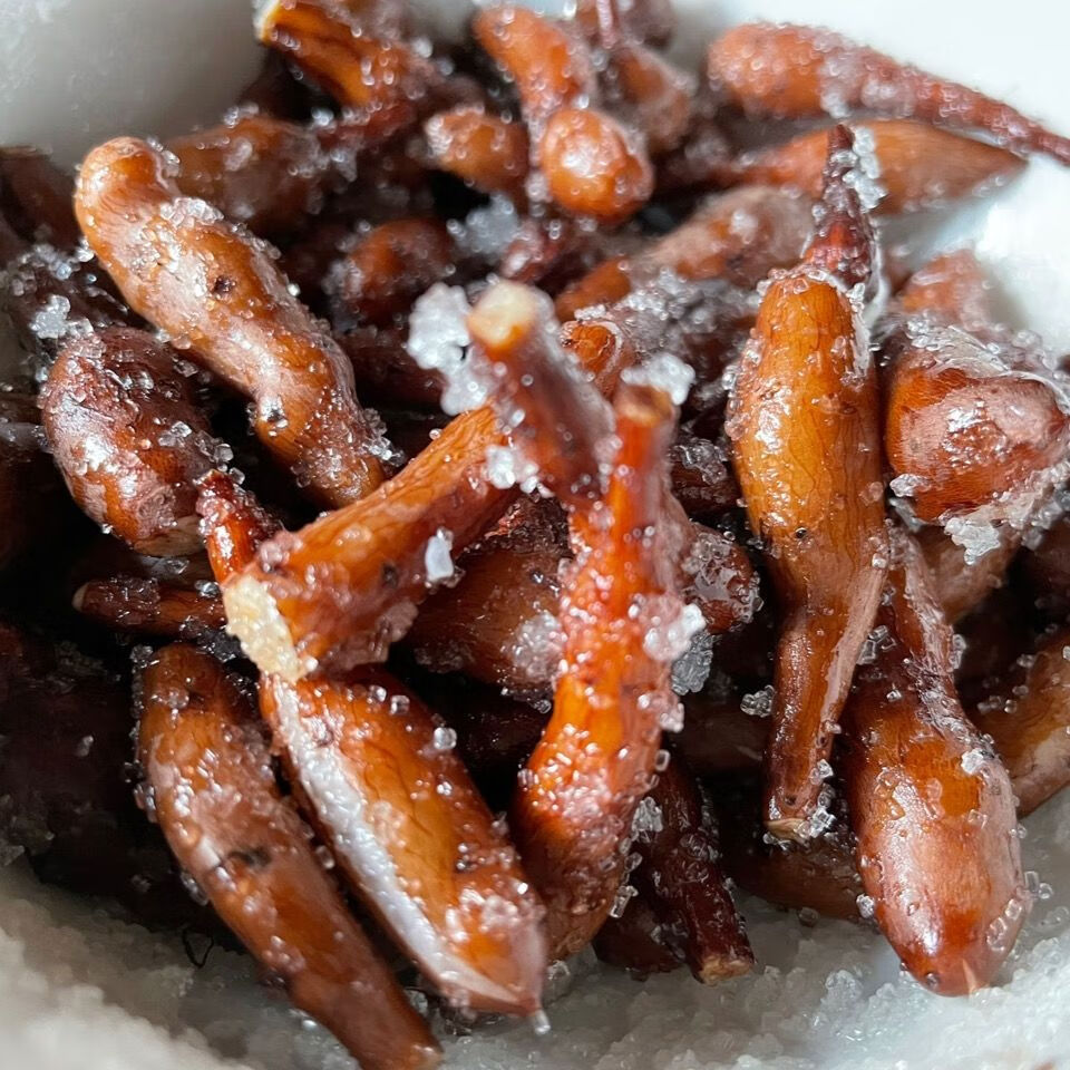 野生蕨麻人参果原产地甘南藏区高原滋补品青海特产级蕨麻新货 野生