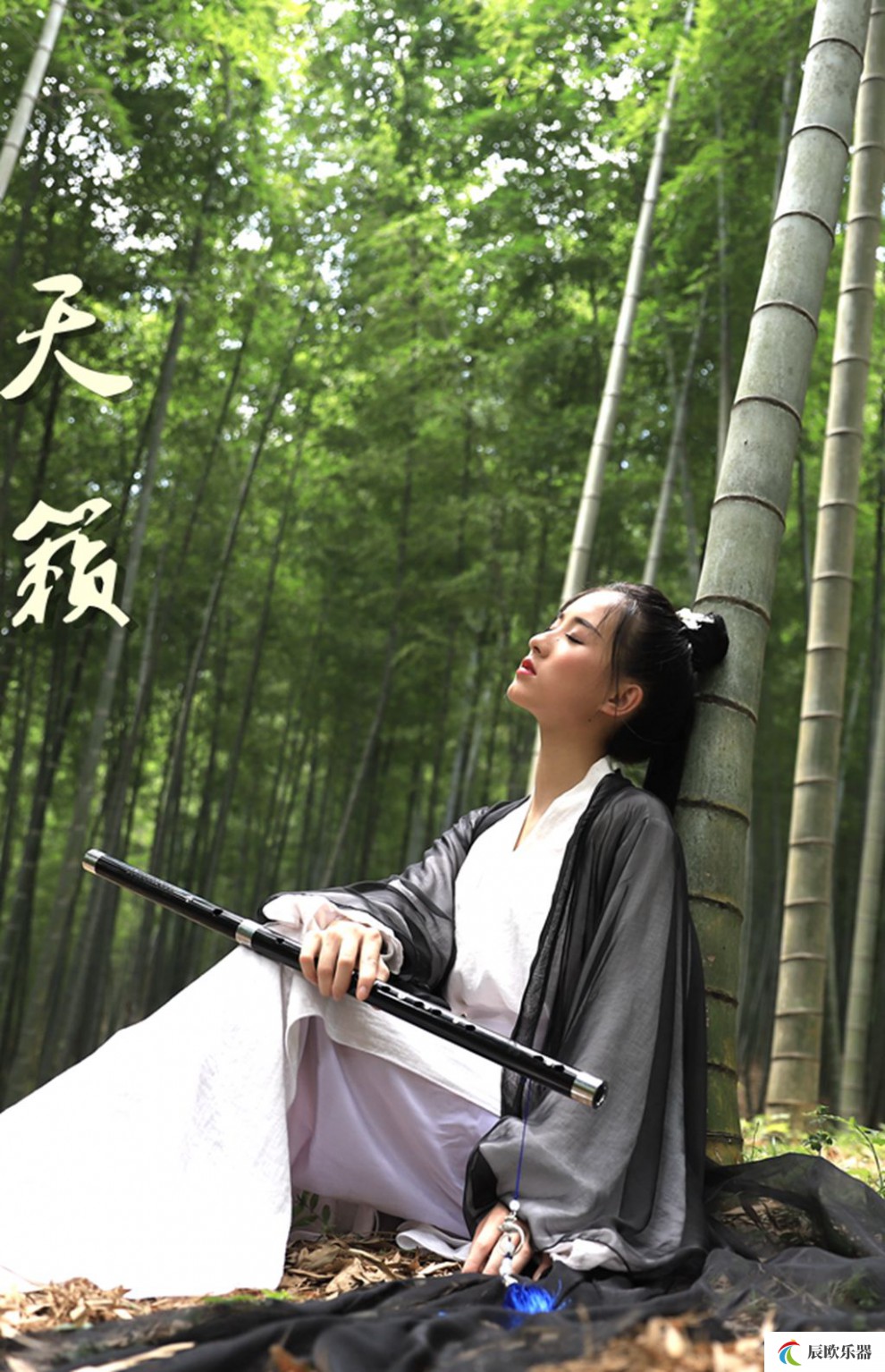 玉笛白玉笛子古风乐器精制ef调学生初学横笛g专业演奏考级黑色笛 黑色