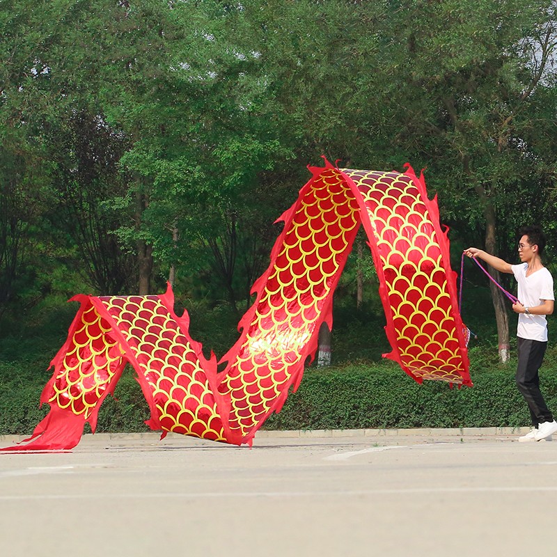 成人舞龙初学双面烫金健身龙舞龙甩龙舞彩带带甩彩带立体龙头空竹龙