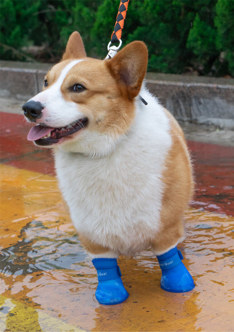 工厂直发狗狗雨鞋柯基泰迪鞋子小型犬宠物鞋鞋套防脏