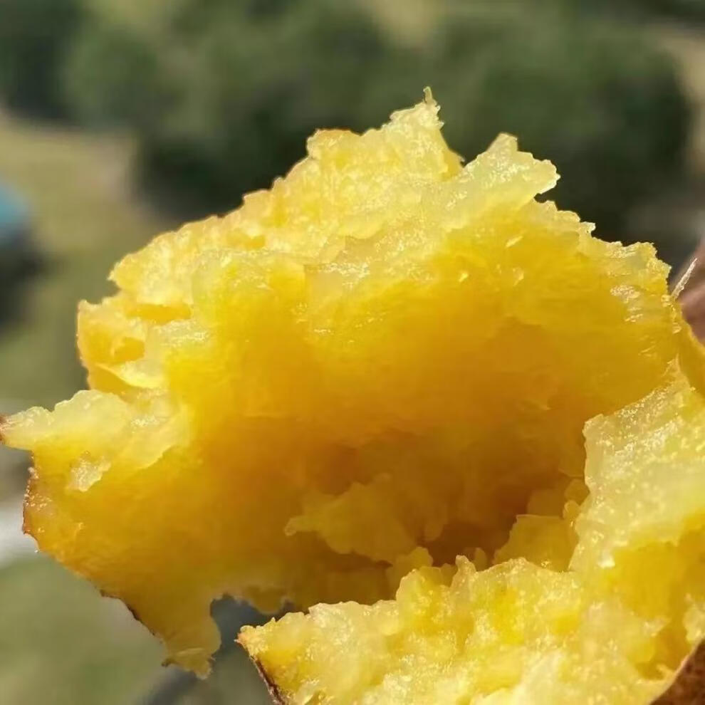 瑶红薯冰淇淋一点红红薯西瓜红红地瓜南沙一点红 玛莎莉红薯5斤【图片