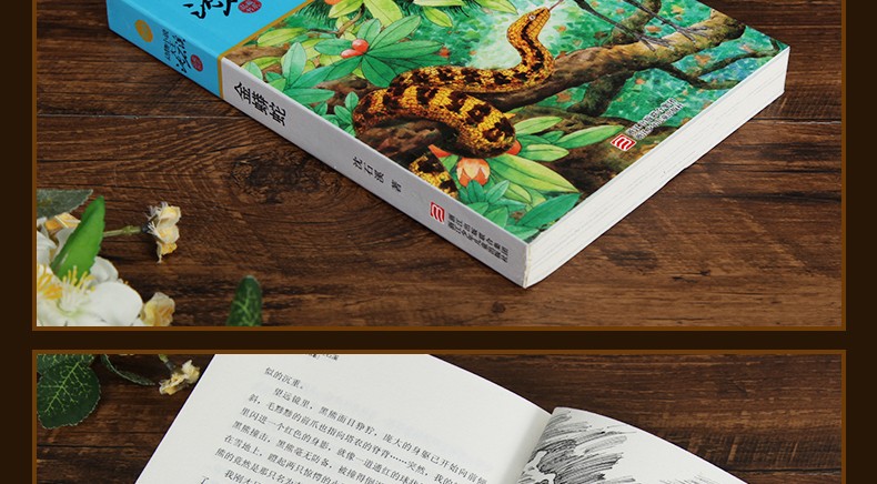 正版沈石溪动物小说品藏书系列金蟒蛇小学生课外阅读书籍