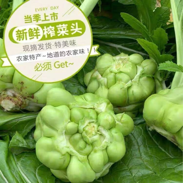 涪陵新鲜榨菜头青菜头9斤5斤1斤大头菜芥菜疙瘩鲜榨菜蔬菜直发5斤纸箱