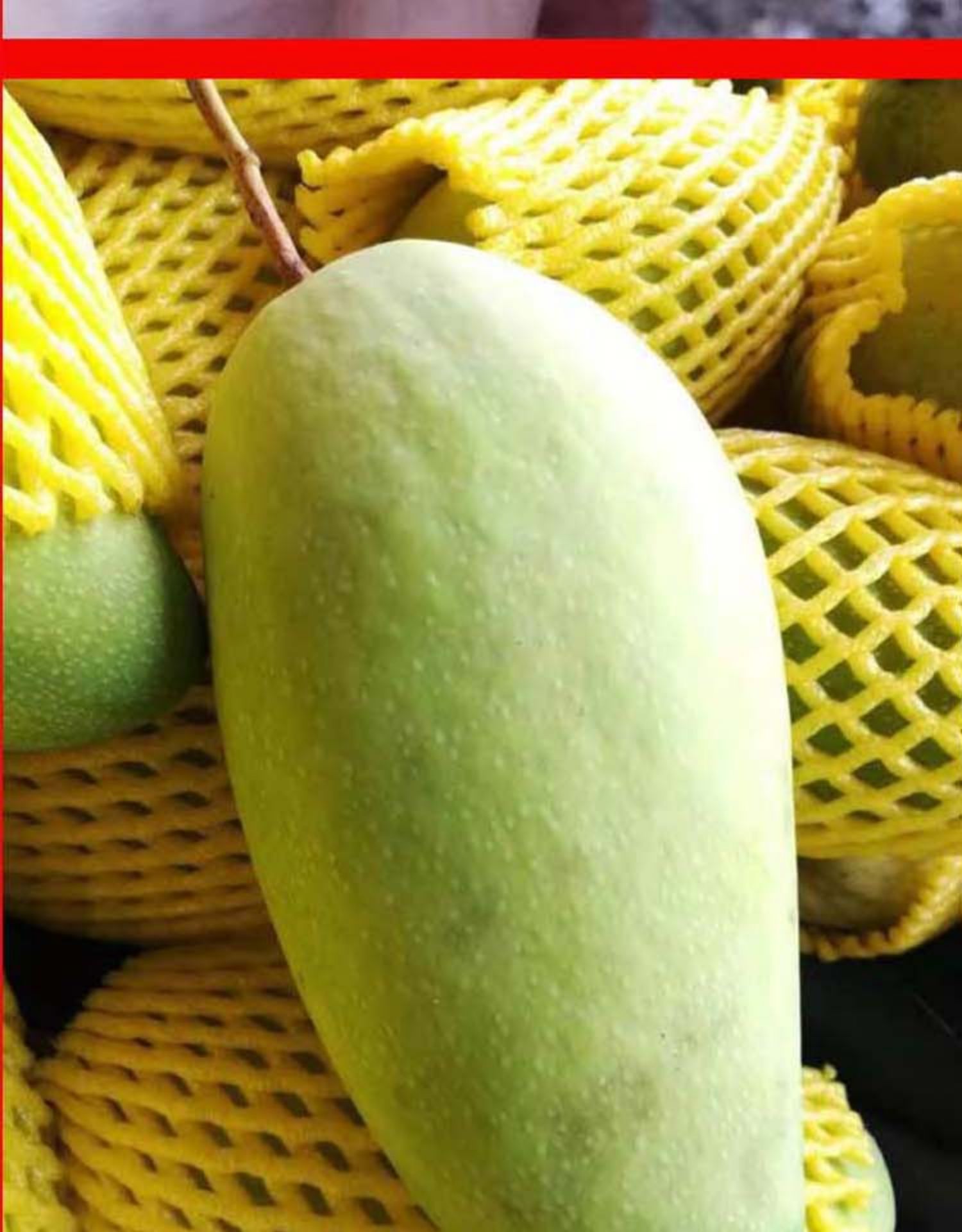 时染shiran越南金煌芒大青芒玉芒果10斤非澳芒凯特芒果桂七芒贵妃芒台